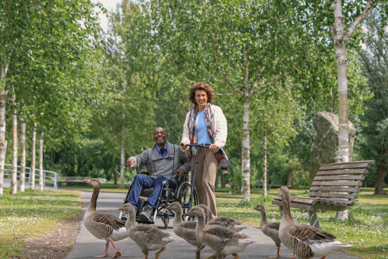 Twee mensen wandelend in het park met ganzen